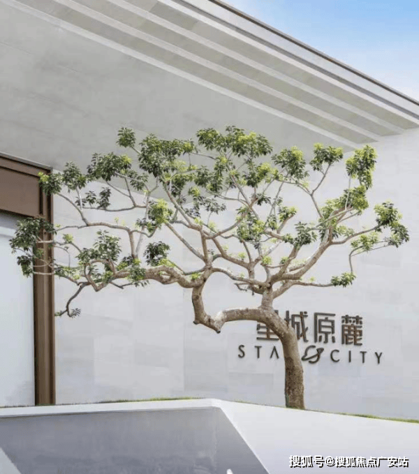 重庆星城原麓售楼部首页网站-重庆星城原麓2024年最新户型配套房价