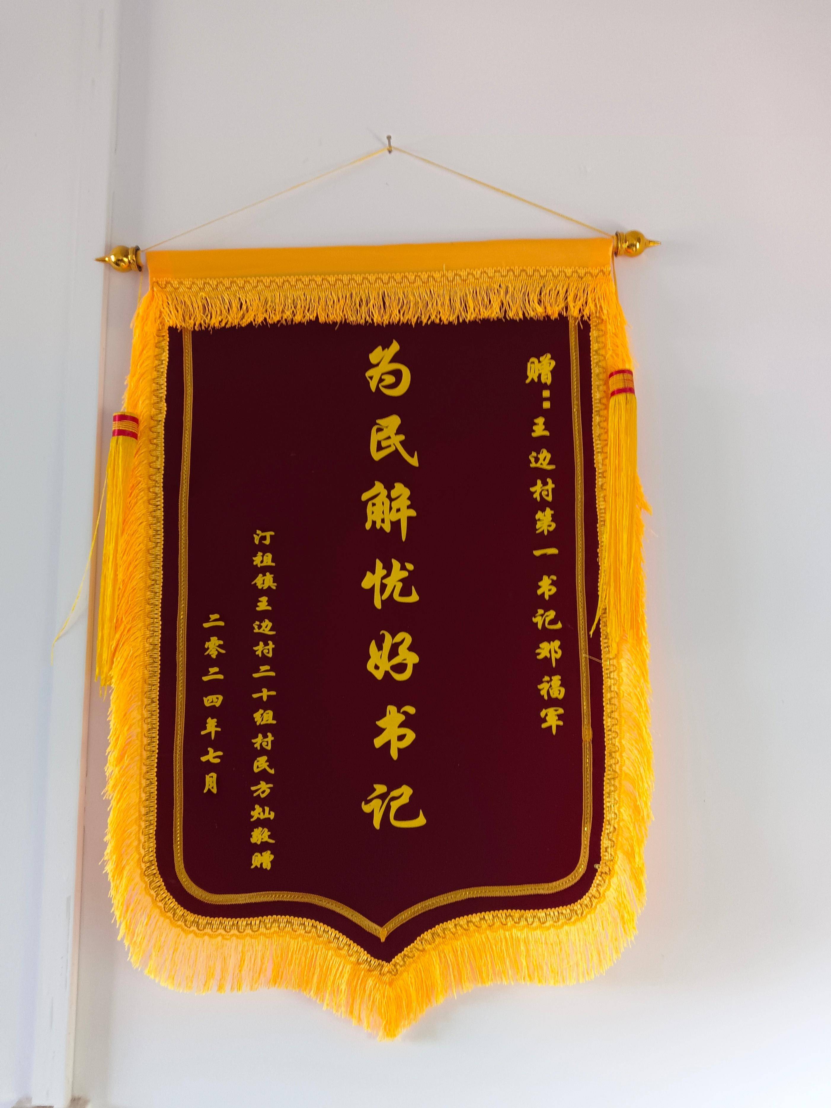 —鄂城区这个驻村第一书记为啥收到锦旗