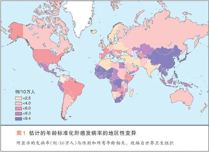 地图 690_500