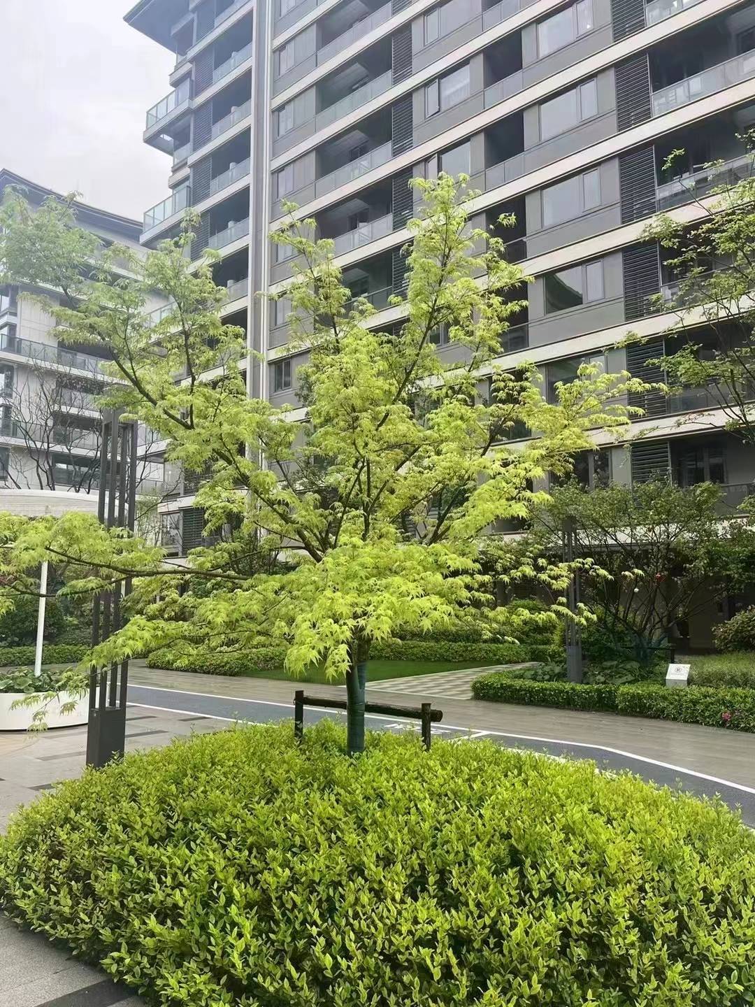 精美电话机手机壁纸下载(精美电话机手机壁纸下载安装)