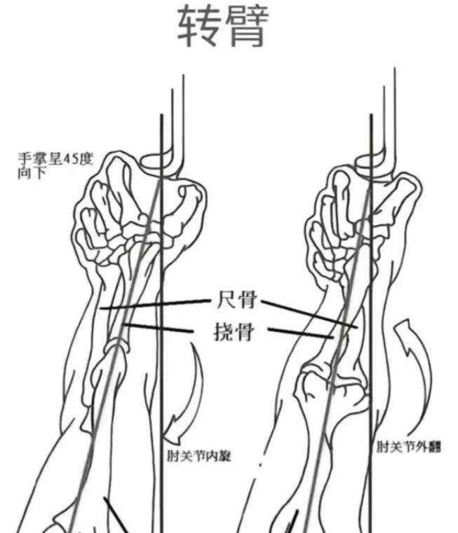 射箭姿势要领图片