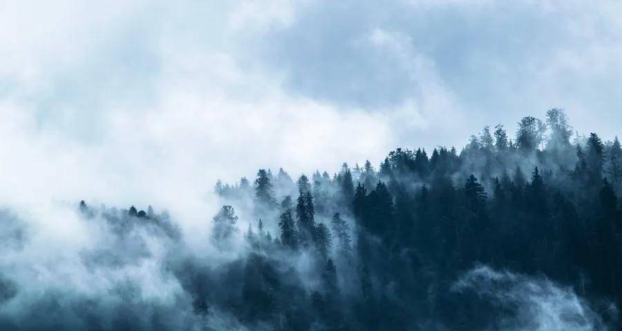 博世买联合利华卖,这轮外资家电业务整合突生变数-家电圈官网