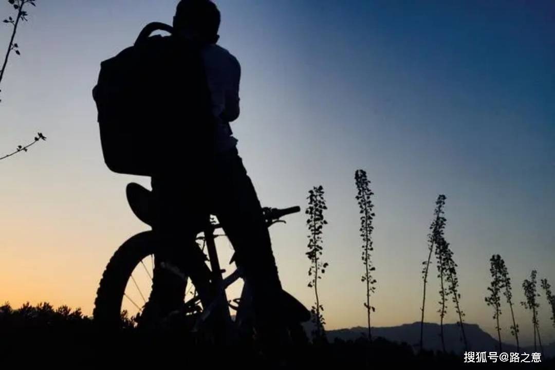 上停放的一辆吉普车里,两双贪婪凶恶的眼睛紧紧盯着远去的付俊伟背影