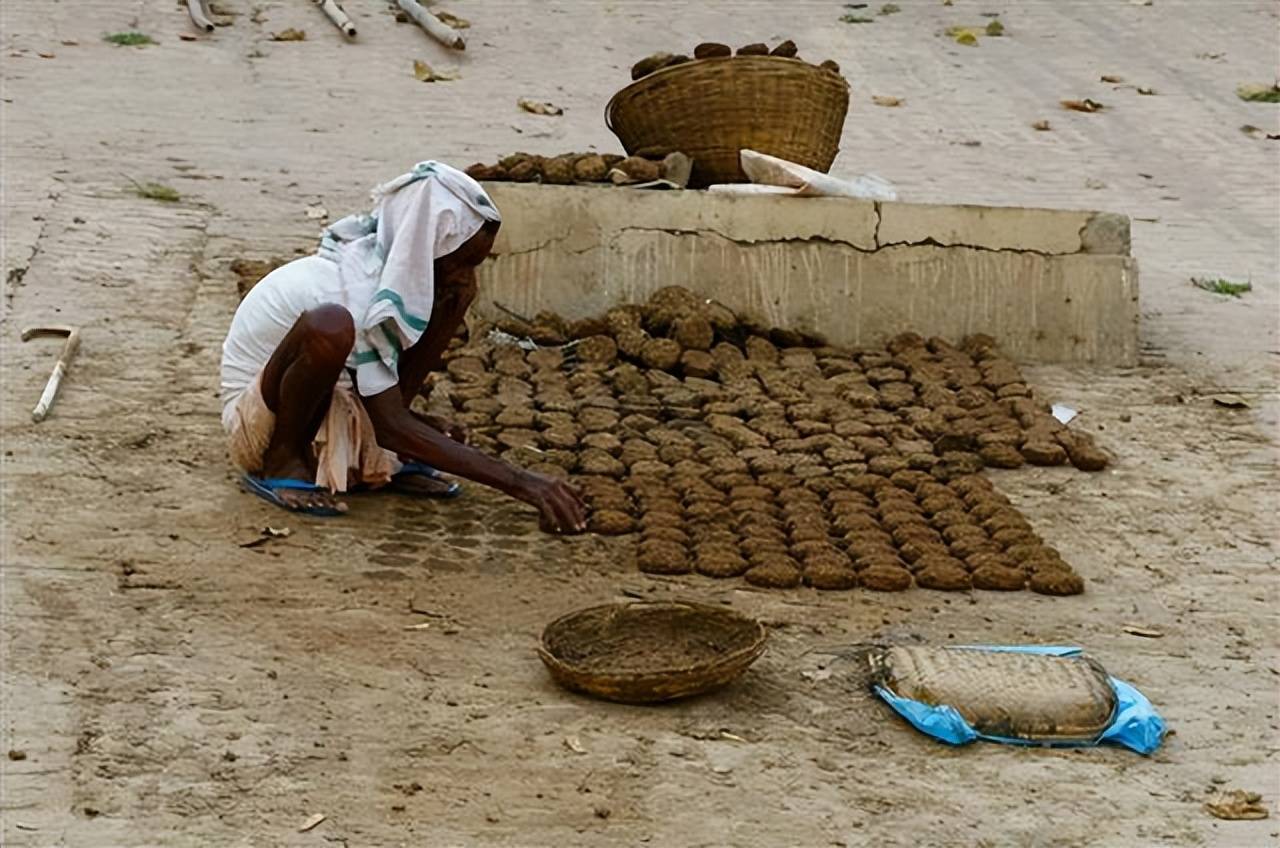 印度最受欢迎的牛粪饼,一天不吃就浑身难受,你敢尝尝吗?
