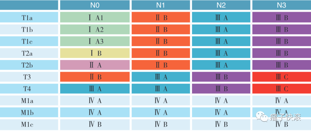 【掌上药店】图解肺癌tnm分期:解读第8版与第9版的不同要点