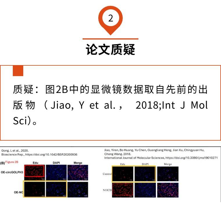 区论文（什么是一区论文） 区论文（什么是一区论文）《什么叫一区论文》 论文解析