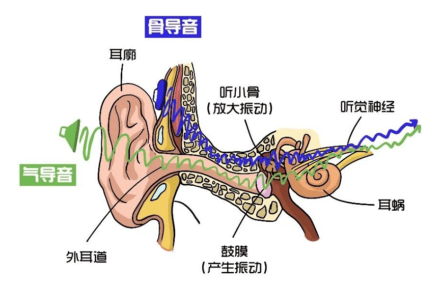 开放式耳机原理？开放式独家声学系统和设计，保护耳道健康~
