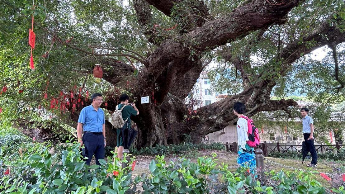 座谈讨论汲取经验,以期贡献青春力量实践队来到村委,与梧桐镇陈杰副