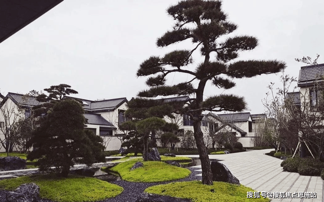 山棠春晓别墅_苏州山棠春晓别墅房价_楼盘怎么样天健山棠春晓-户型