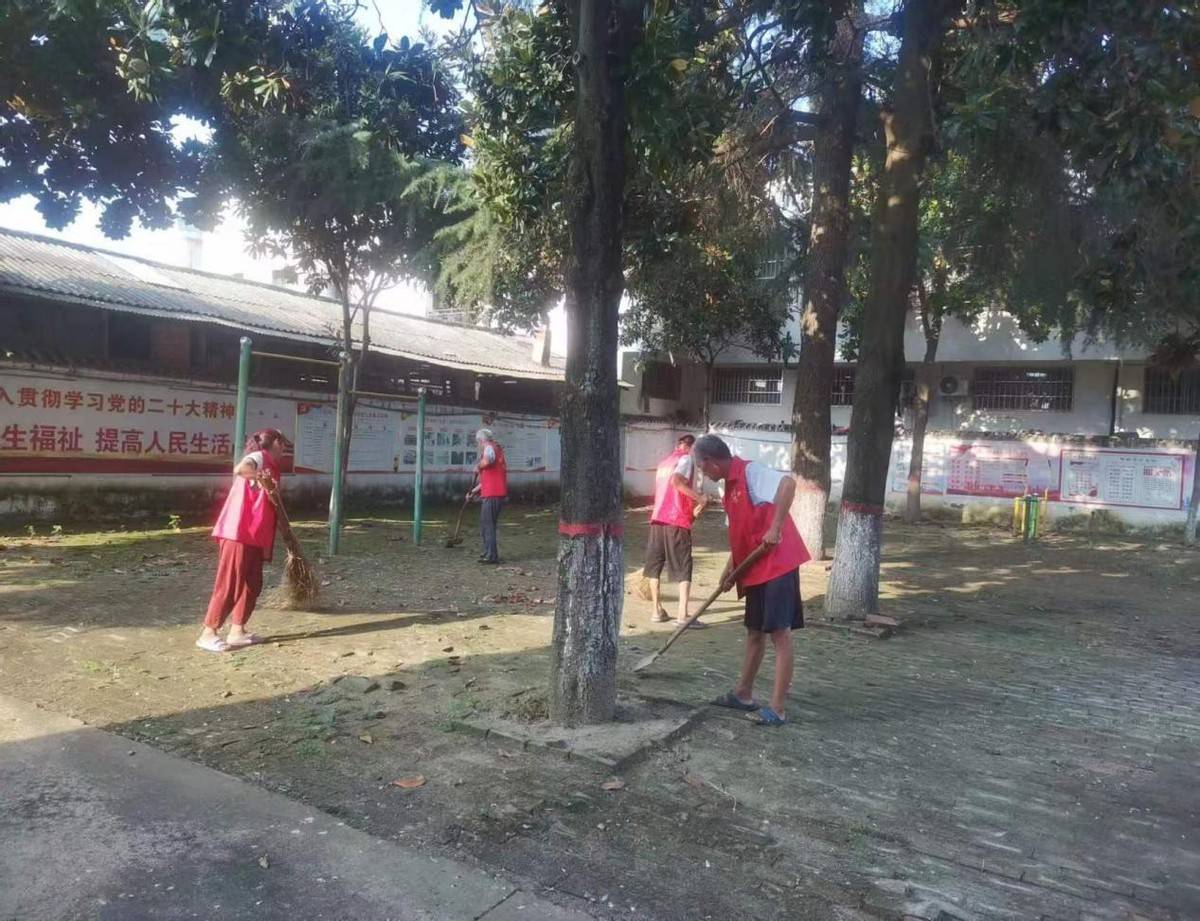 邓州市夏集镇:加大整治力度 提升乡村颜值