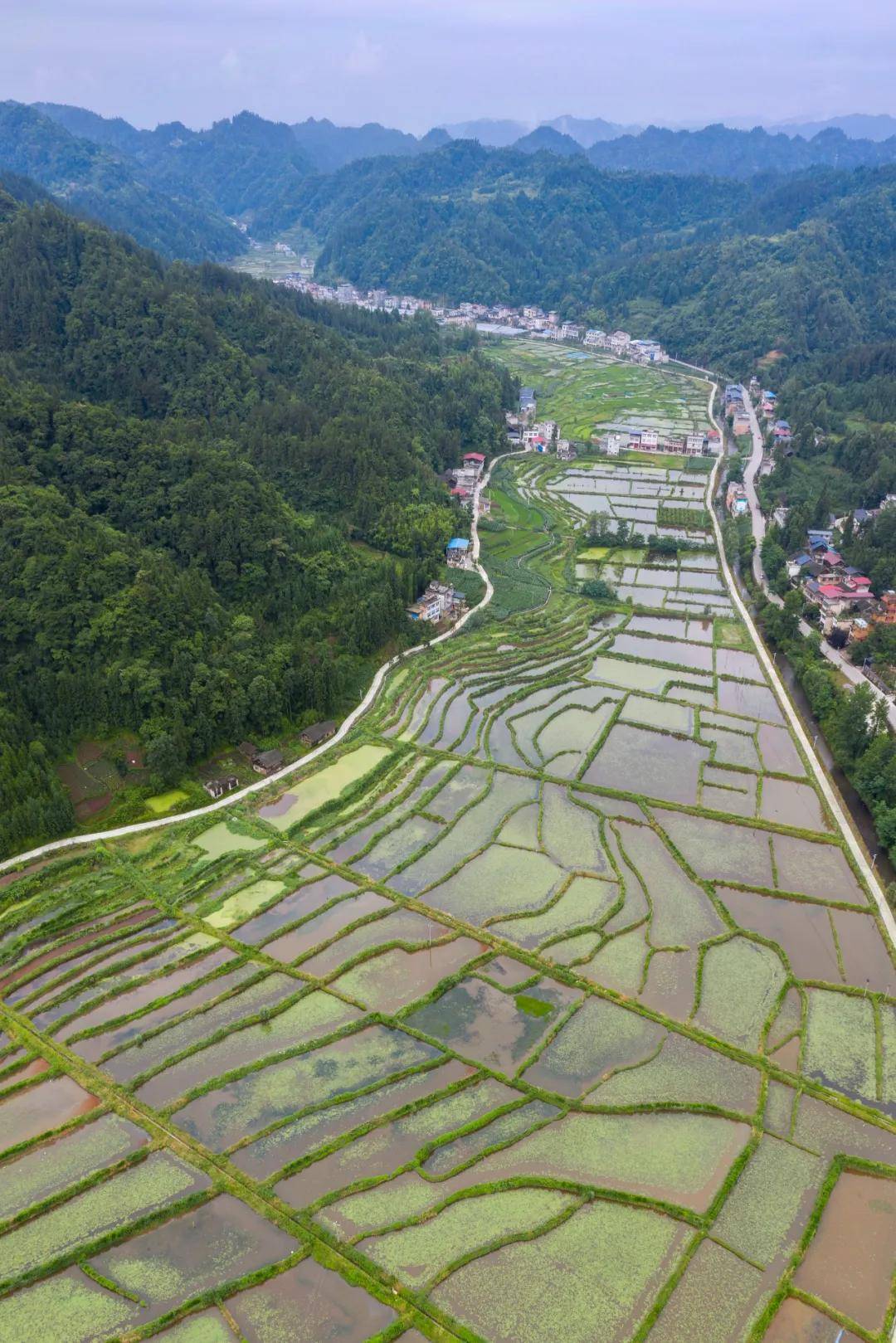 湘江平原图片