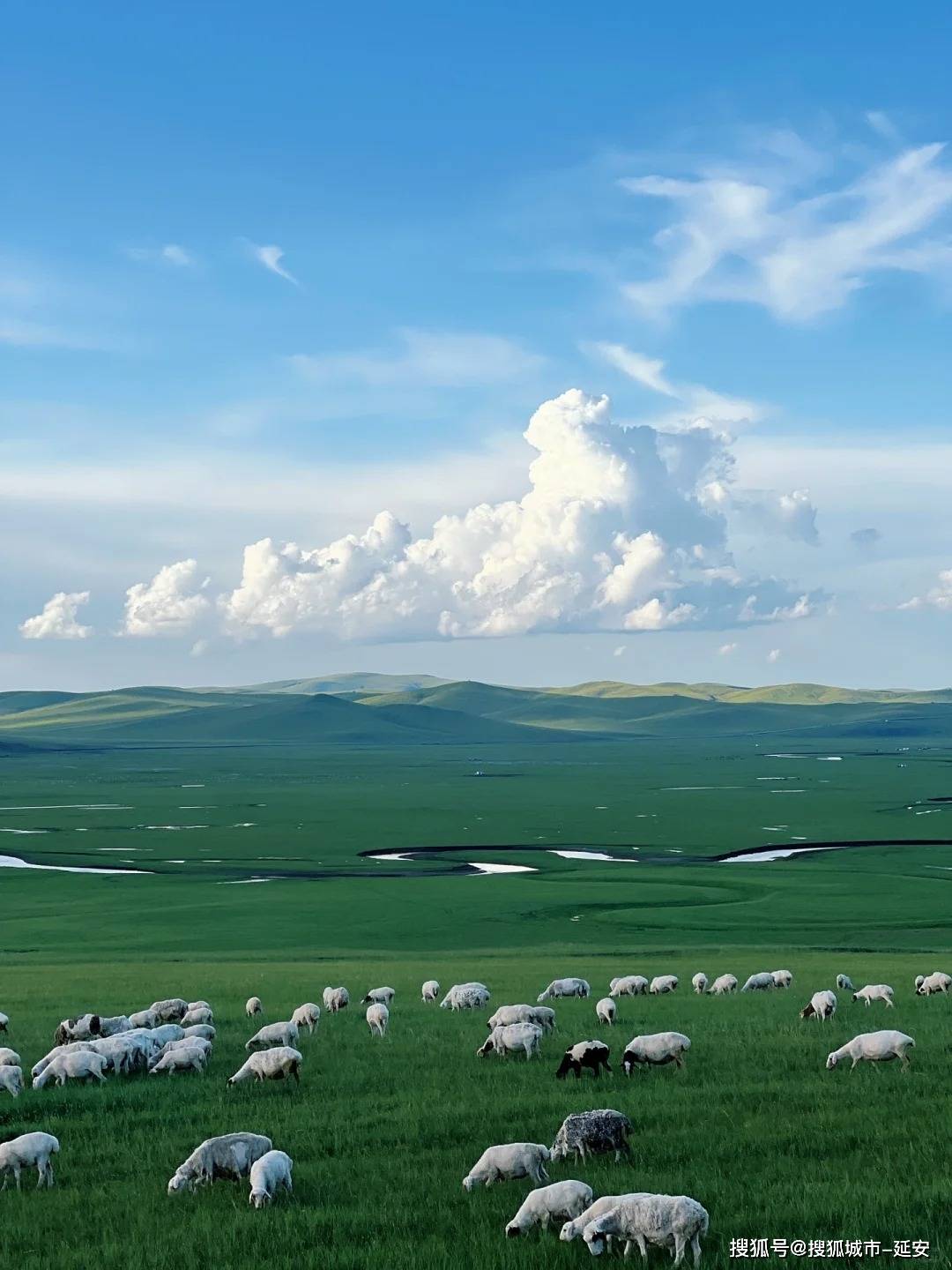 敕勒川背景图图片