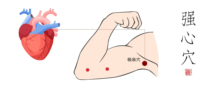 百草益寿 打开腋下养心开关可强健心脏