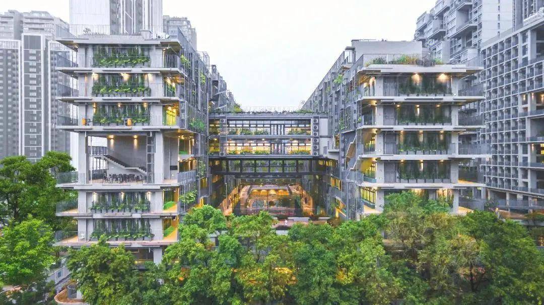 深圳竟有6所优质艺术高中,比"体育爬藤"更有优势!