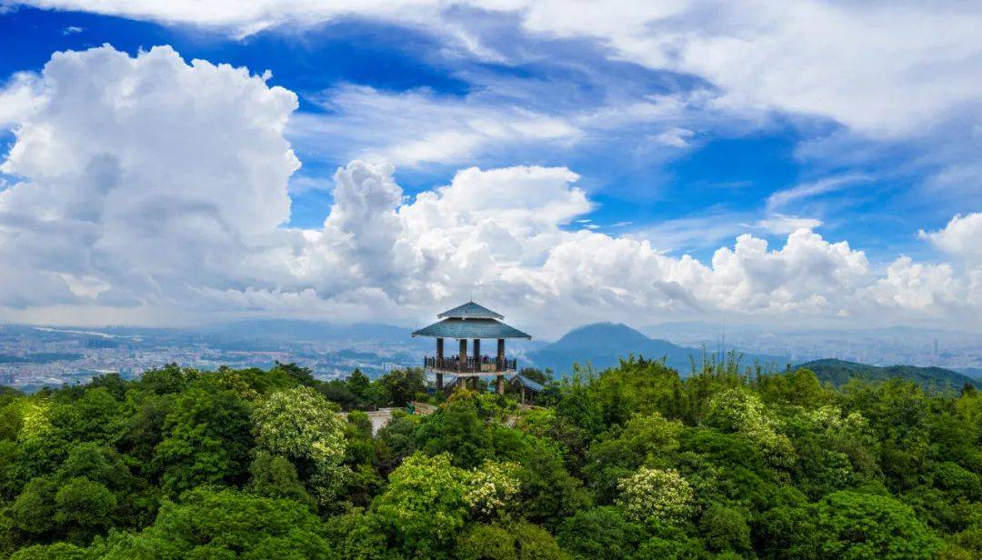 东莞大岭山免费景点图片