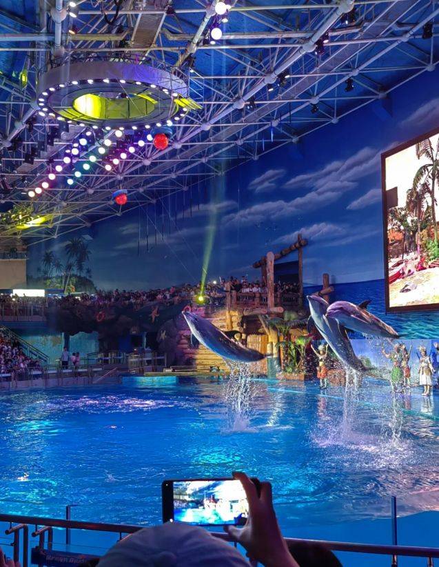 梦幻水世界,大连老虎滩极地海洋公园夏日清凉之旅