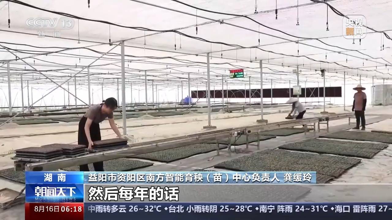 空档期 蔬菜填上 探寻藏在育秧工厂里的丰收密码