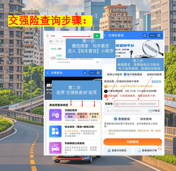 电动车交强险购买记录哪里查