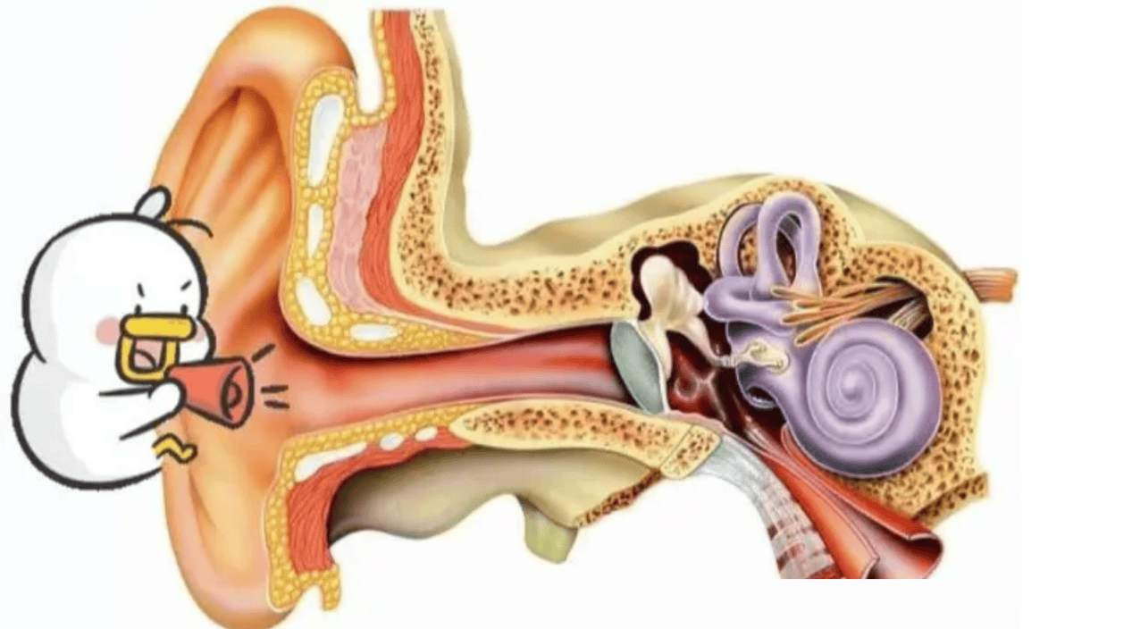 开放式耳机好还是入耳式耳机好？一文告诉你！