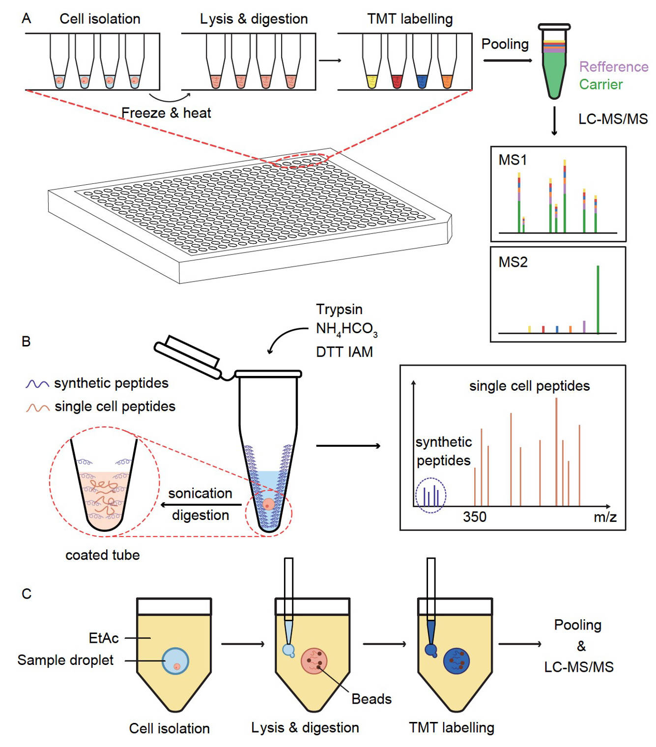图6 ms-scp易用性工具综述第五章"single-cell metabolomics