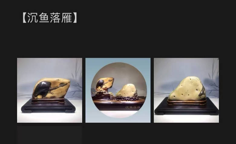 美石欣赏 · 人生雅福｜南宁市李惠赏石馆精品收藏展示：沉鱼落雁 https,images01,20240826,彩陶,影响力