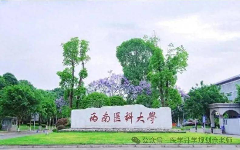 西南醫(yī)科大學2024年各省錄取分數(shù)線_西南模錄取分數(shù)線_西南醫(yī)科大學2024年錄取分數(shù)線