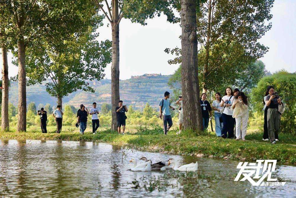 宝鸡千湖国家湿地公园:青山绿水的生态画卷