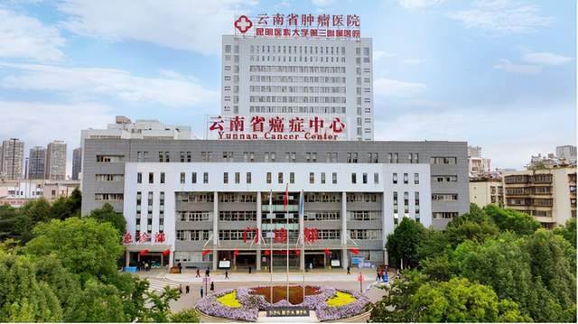 结果与实验方法不一致 图像重复 云南省肿瘤医院 昆明医大论文被撤稿