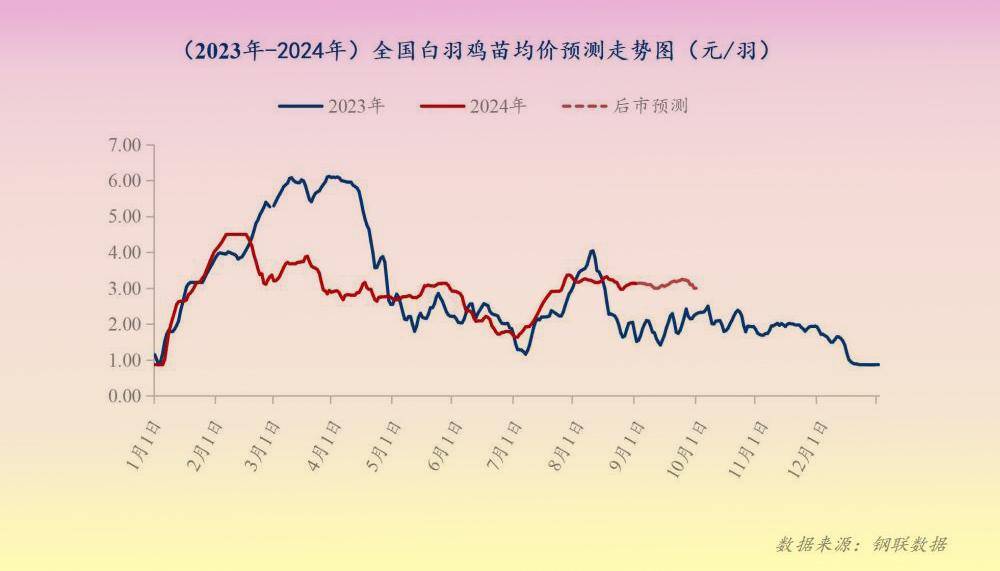 【行情】8月肉鸡市场行情分析及9月行情预测 第2张