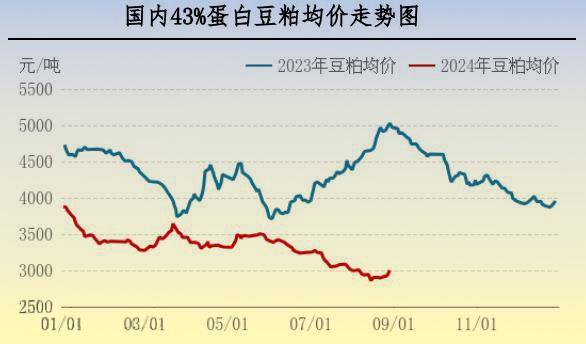 【行情】8月肉鸡市场行情分析及9月行情预测 第5张