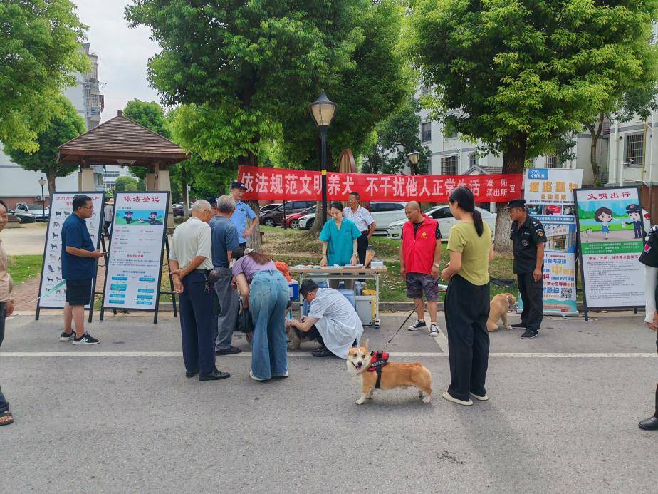 党员志愿者通过悬挂横幅,摆放图文并茂的展板等形式进行文明养犬宣传