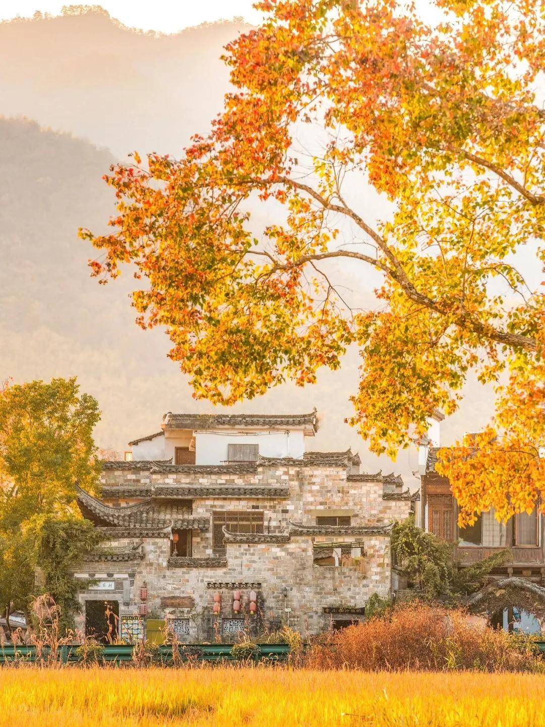 图片[2]-秋色撩人，这九个地方美爆了！-华闻时空