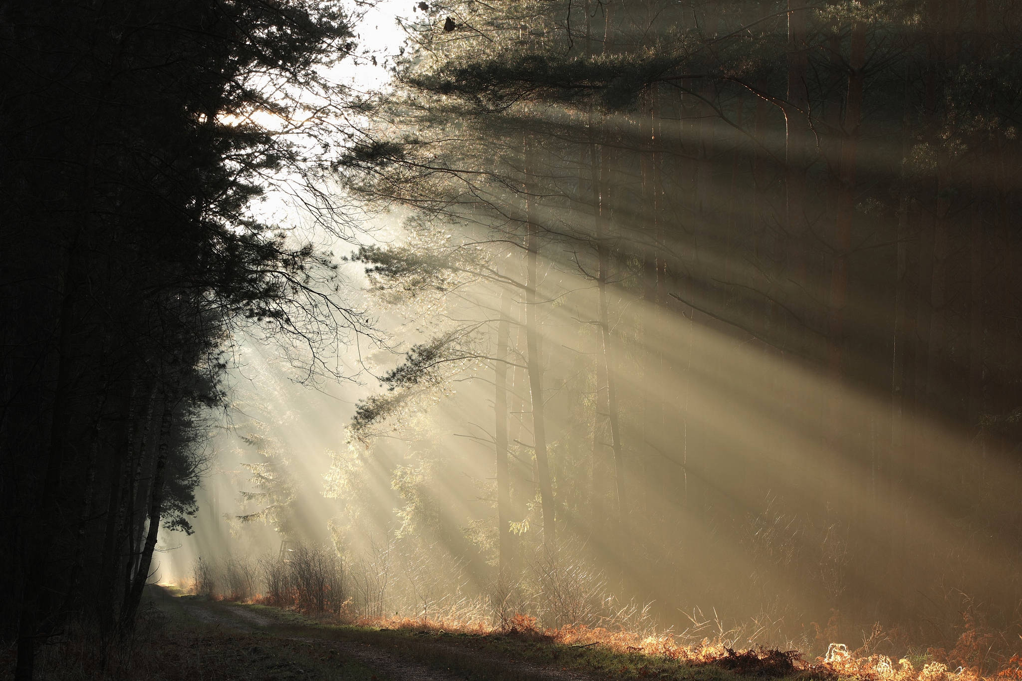 在这里,光线不再是单一的存在,它随着时间,空间的变化而展现出万千