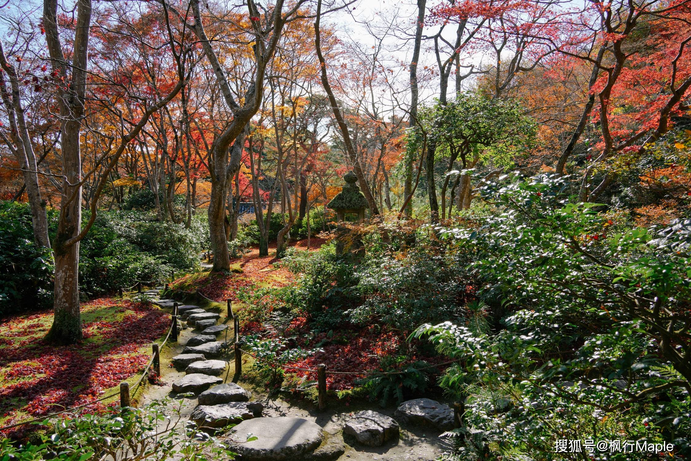 此生,总要在枫叶季去趟岚山吧_竹林_山庄_枫树