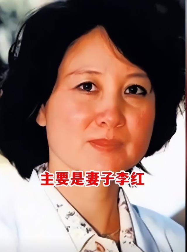 徐少华现任妻子简历图片