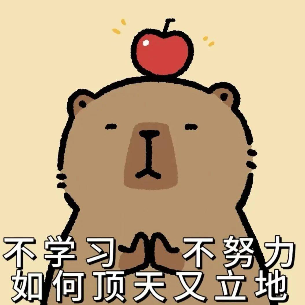 备考必备!更适合升本宝宝体质的表情包来啦!