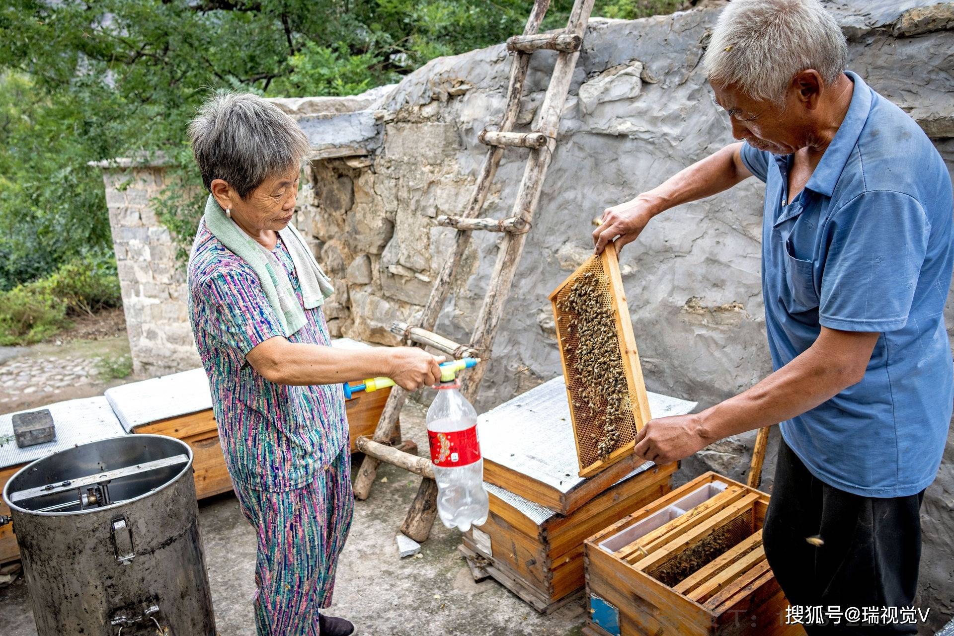 养蜂人老田图片