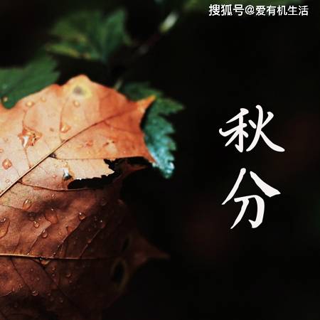 为什么把秋分设立为农民丰收节？中国农民丰收节的设立意义-为什么丰收节设立在秋分