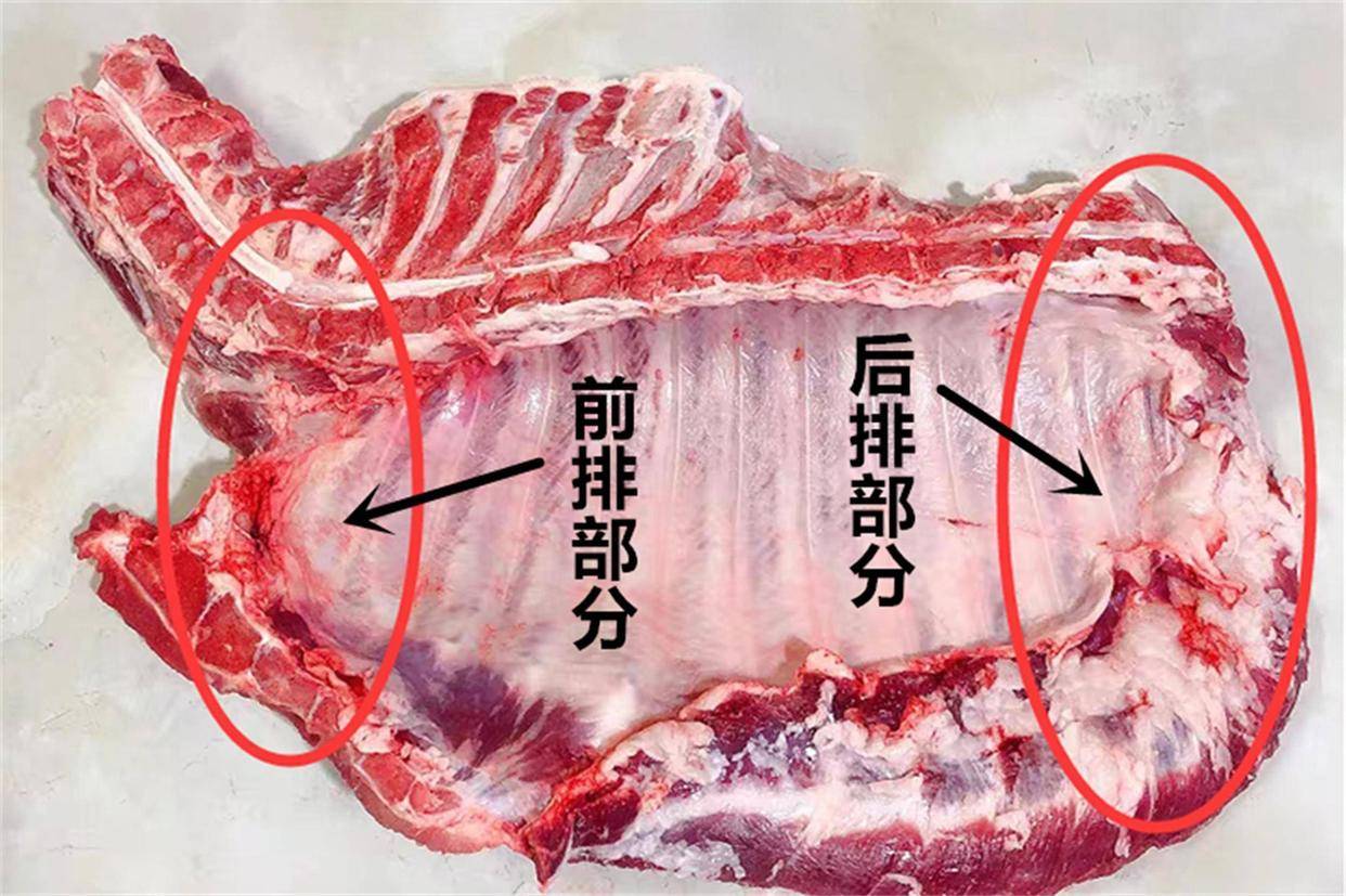 前排的特点前排也被称为猪小排,靠近猪的前腿部位,它的外观较为小巧