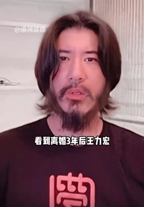 王力宏安以轩图片