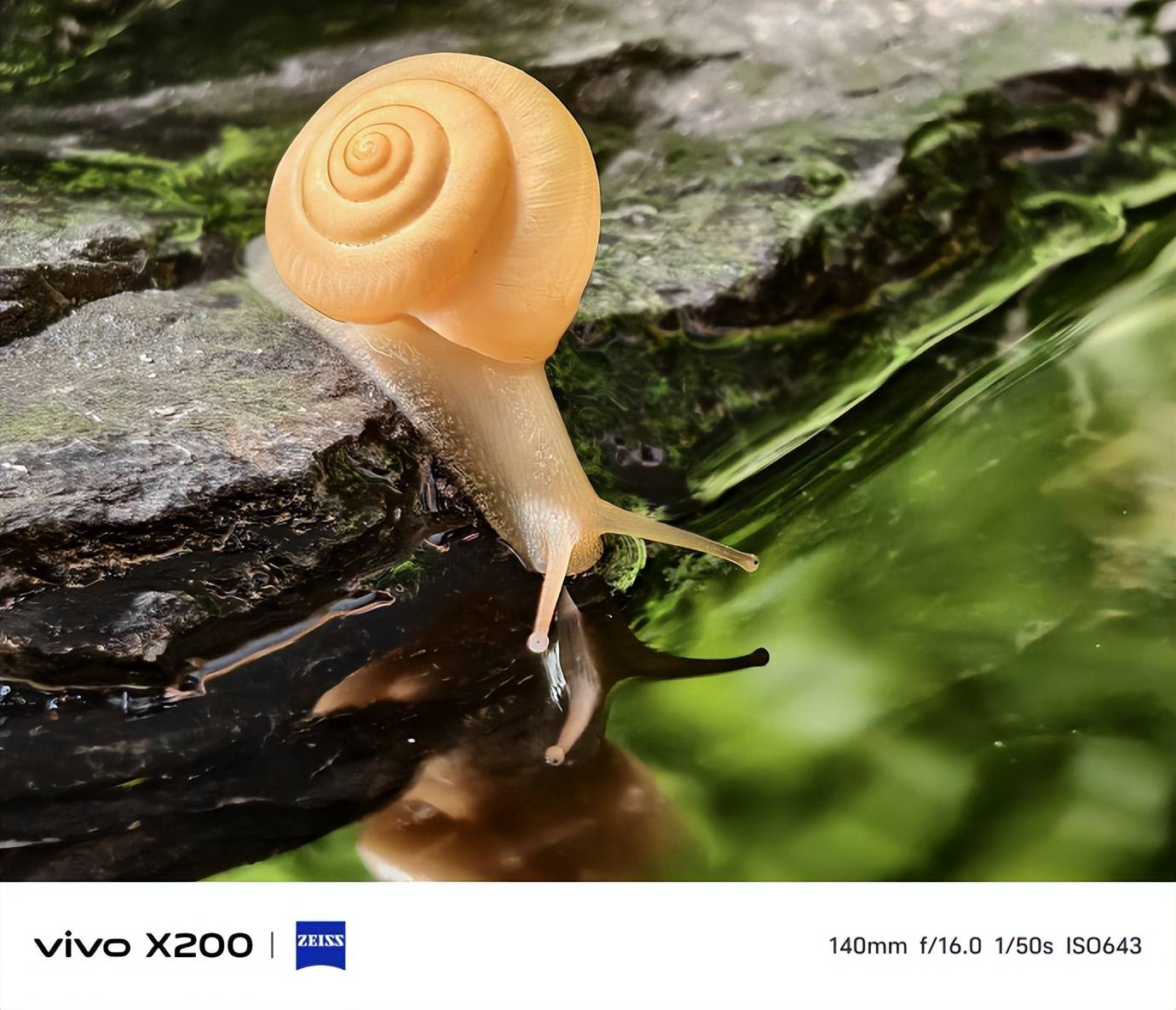 vivo X200系列携多重首发技术，即将震撼发布-vivo x23百科