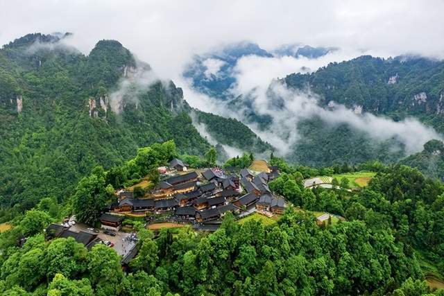 湖南十八洞村酒业:多元布局谋发展,"酿造"乡村振兴新愿景
