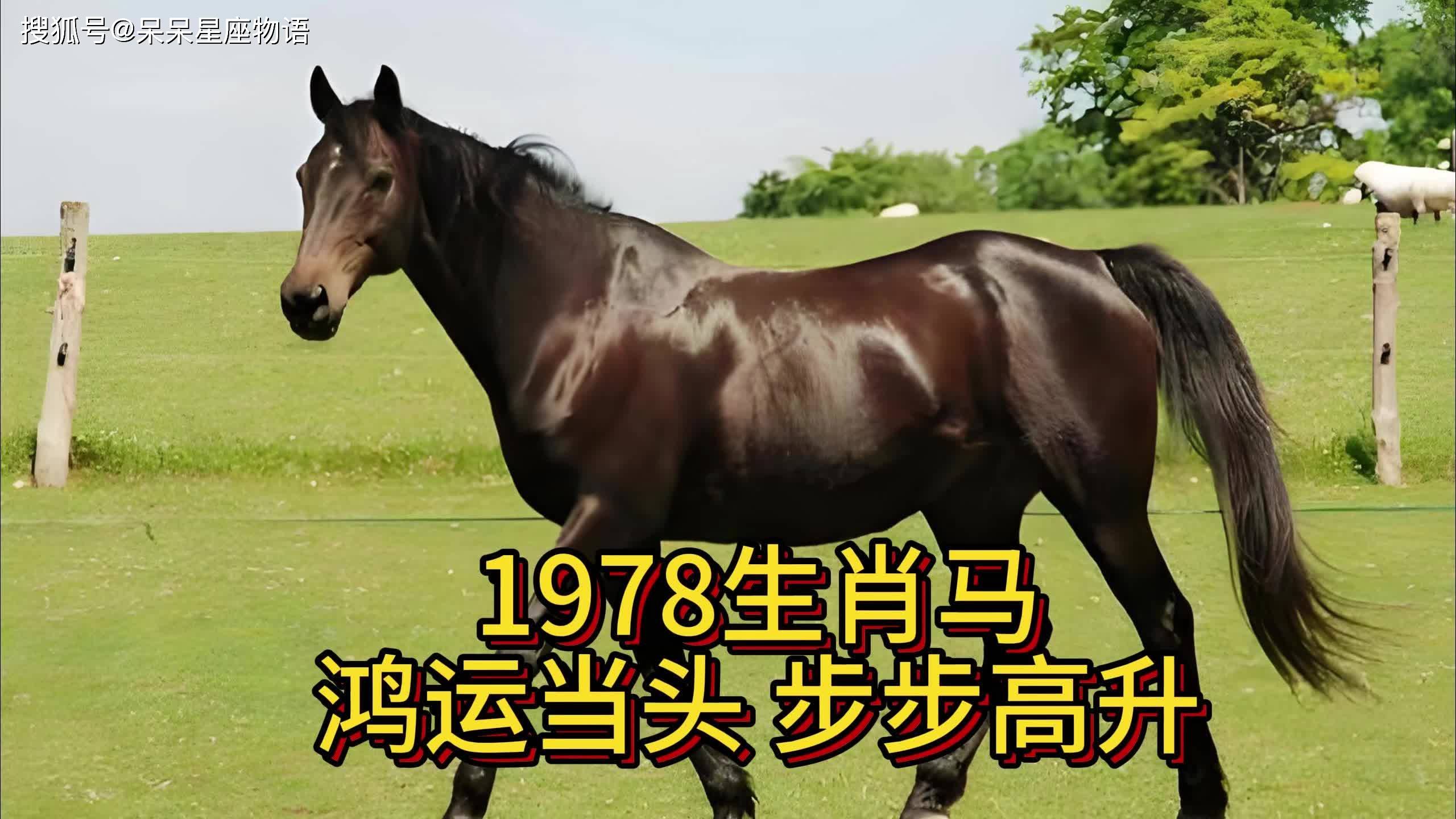 今天生肖马78年的运势(78属马今日运势查询水墨先生)