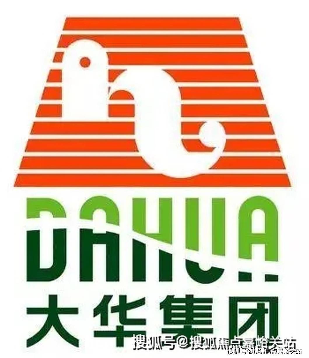 大华丰视logo图片