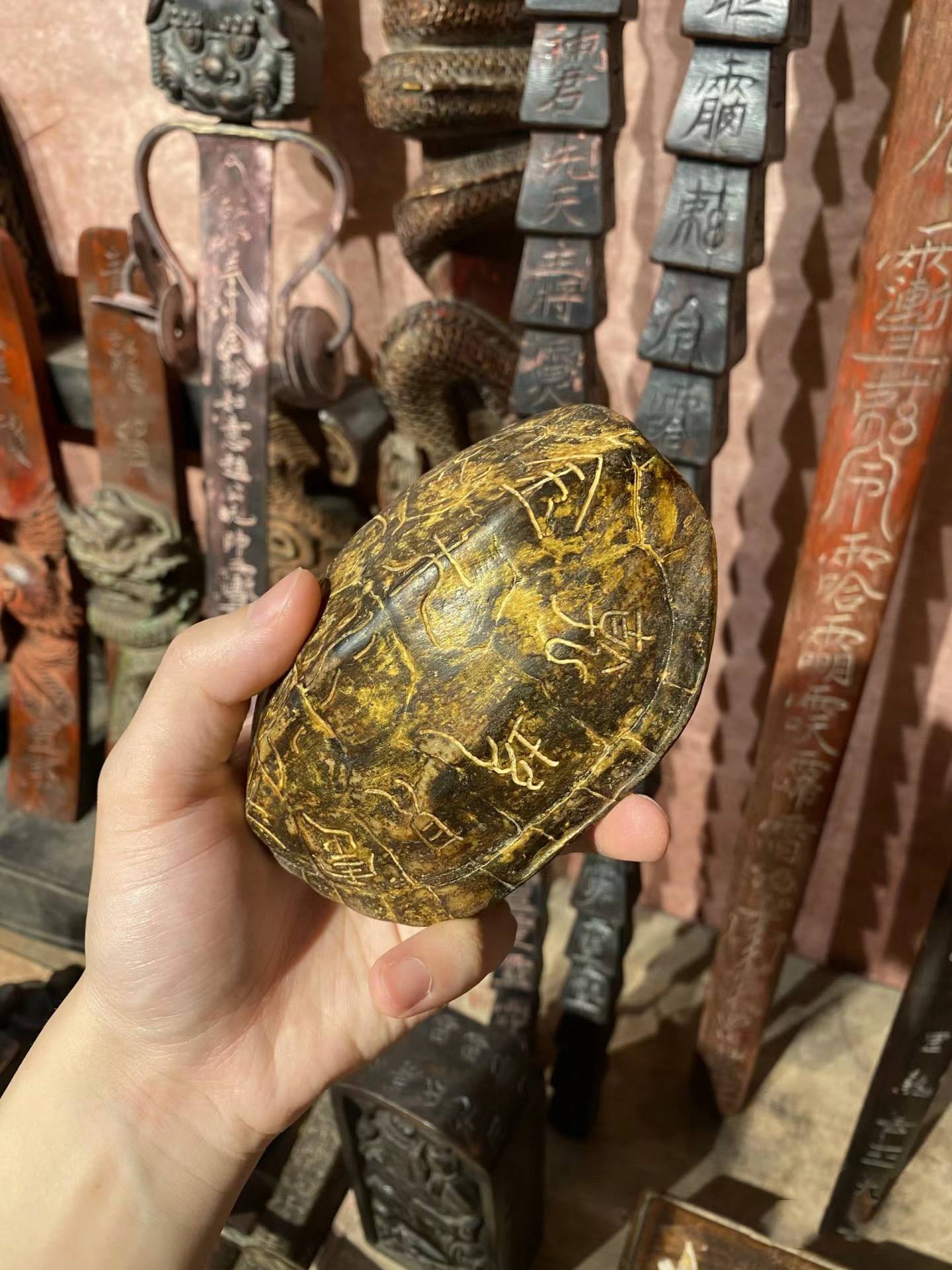 五贝(彭飞)探秘龟壳上的五行八卦:古老智慧与现代启示_宇宙观_文化_太极