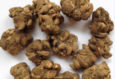 为三散草,它的根系有很好的药用价值,化痰散结,解毒消肿,对于瘰疬痰核