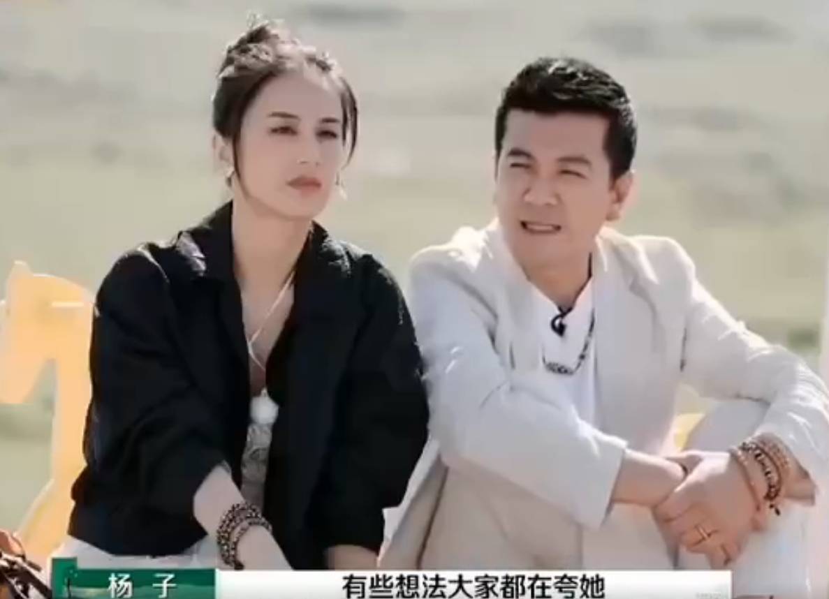 杨子与黄圣依图片