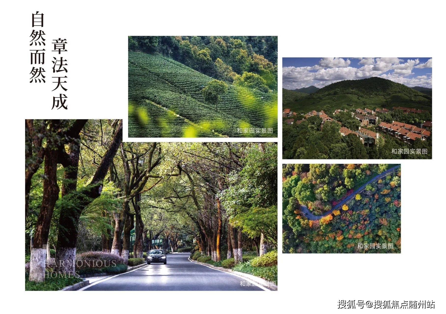 和家园玺园首页网站-杭州和家园玺园别墅丨楼盘评测-2024最新价格|户型配套_山水_西湖