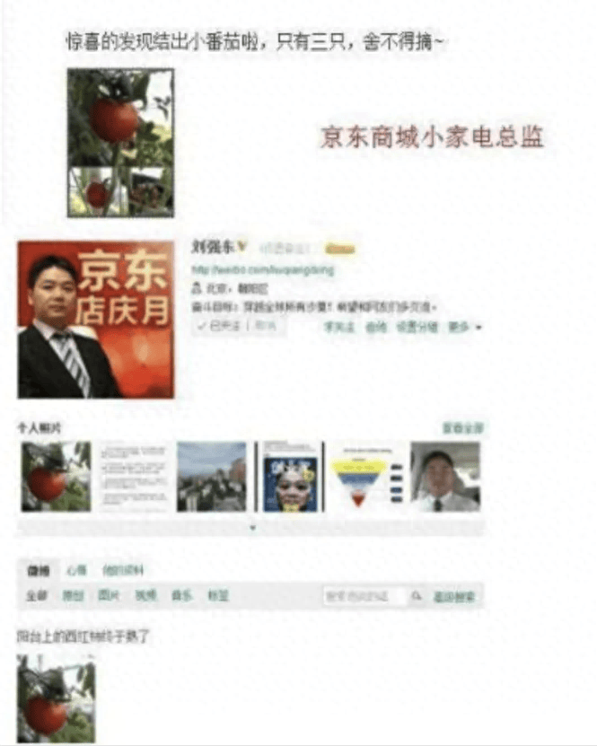 拿9亿分手费的韦雪,才是章泽天的终极目标!_刘强东_西红柿_明州