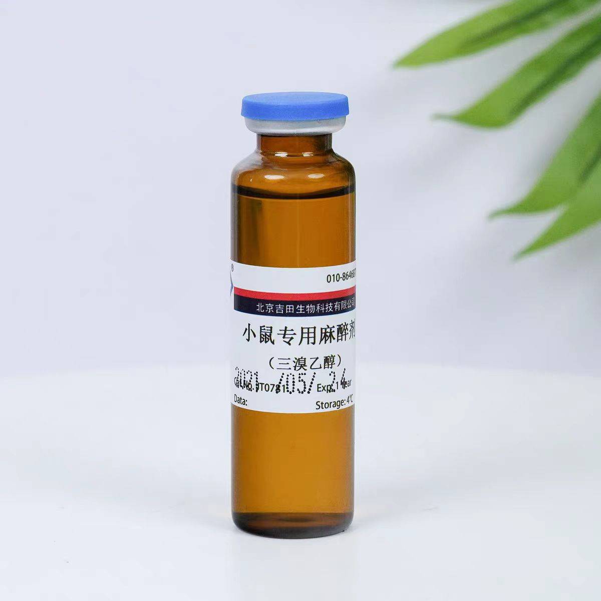 实验_麻醉剂_动物